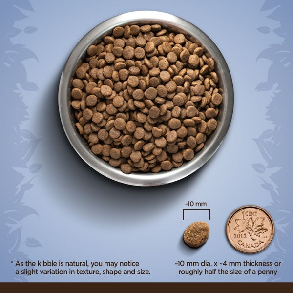 Zoe Chicken, Quinoa and Black Bean Small Breed Adult Dog Dry Food