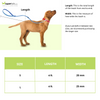 Zoomiez Fluid Printed Leash for Dogs