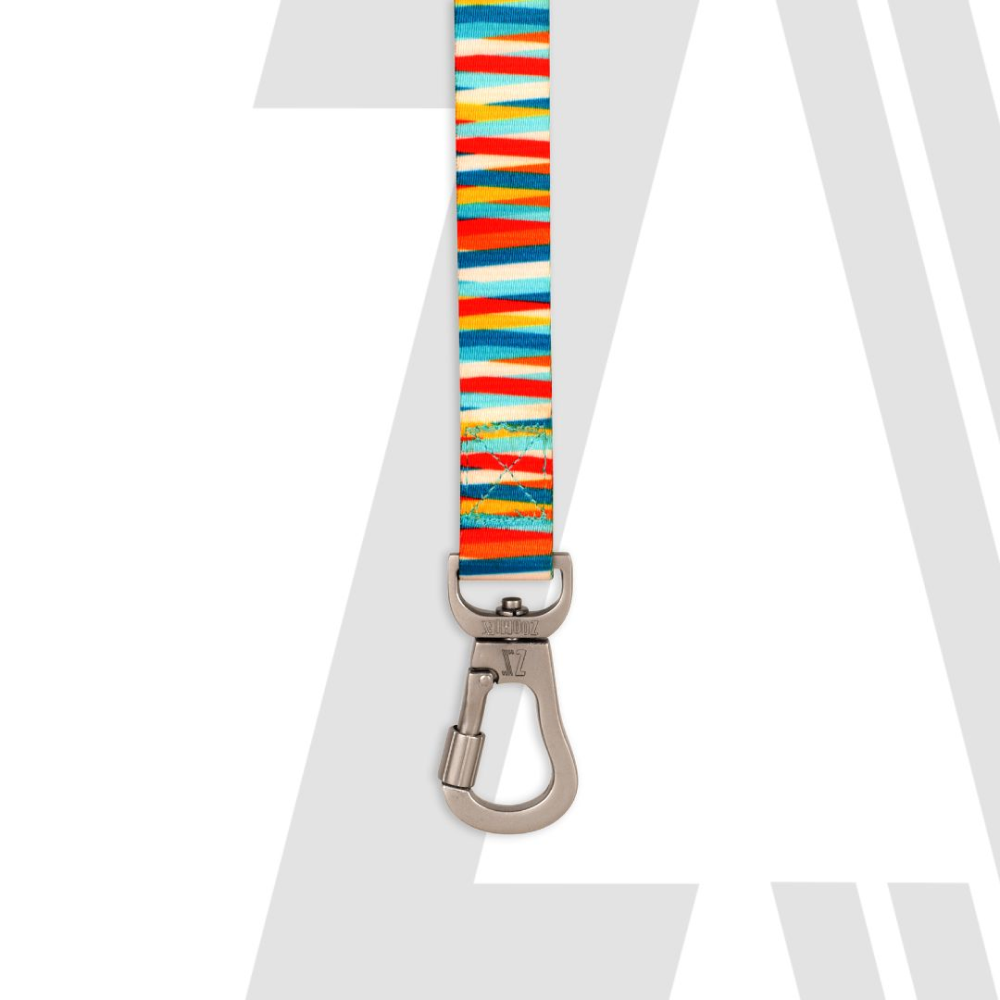 Zoomiez Tango Printed Leash for Dogs