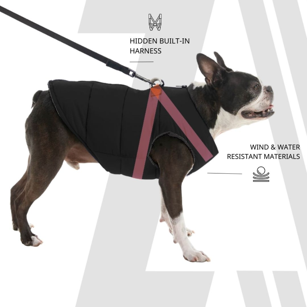 Zoomiez Ultimate Jacket With Built in Harness for Dogs (Black/Neon) Dogs-Clothing & Accessories Zoomiez