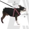 Zoomiez Ultimate Jacket With Built in Harness for Dogs (Black/Neon) Dogs-Clothing & Accessories Zoomiez