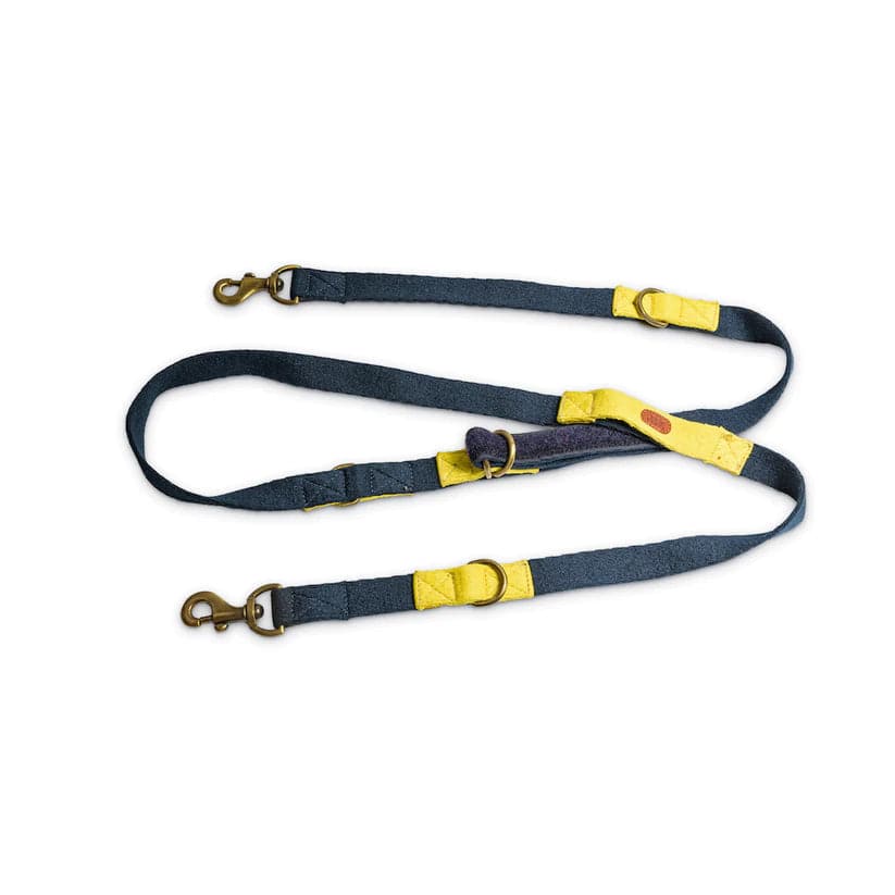 PetWale Multi Functional Dog Leash (Blue with Yellow)