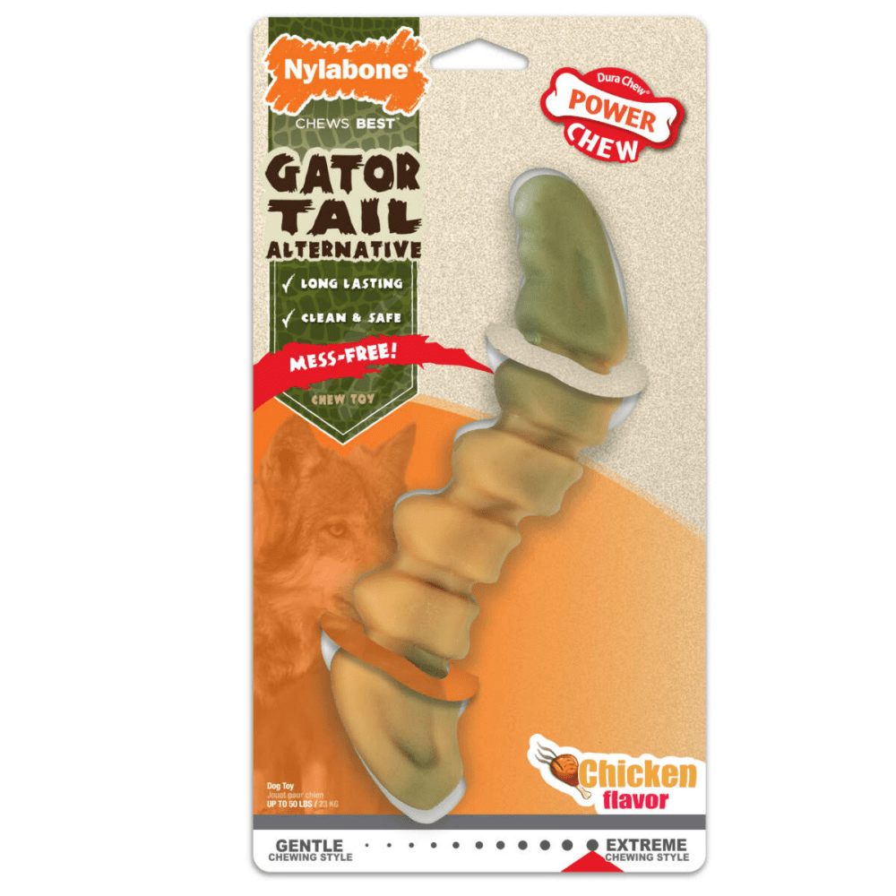 Nylabone power store chew