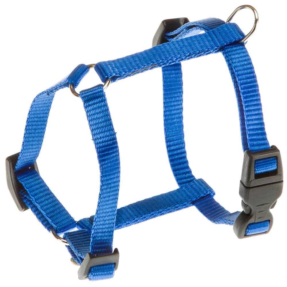 Ferplast Champion P Harness for Dogs (Blue) Dogs-Collar, Leashes, harnesses Glenand L:20-32in Chest