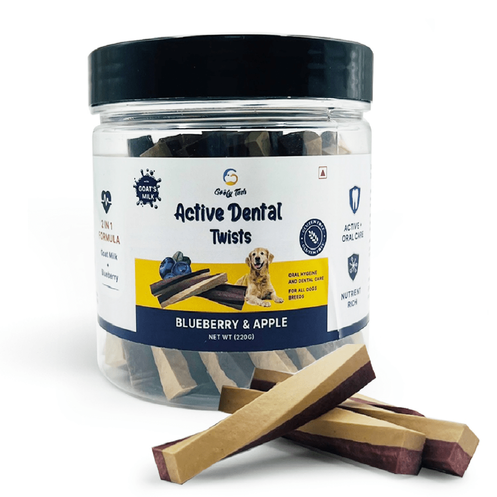 Goofy Tails Blueberry and Apple Active Dental Twists Dog Treats