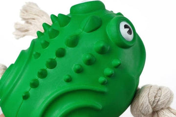 Pawsindia The Mighty Toad Toy for Dogs