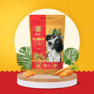 Dogsee Gigabites Carrot Flavoured Cookie Dog Treats