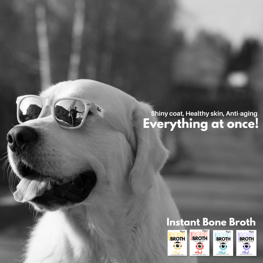 Doggos Instant Chicken and Carrots Bone Broth Gut and Vision Formula (Makes 100ml) for Cats and Dogs Dog Treats + Others Doggos