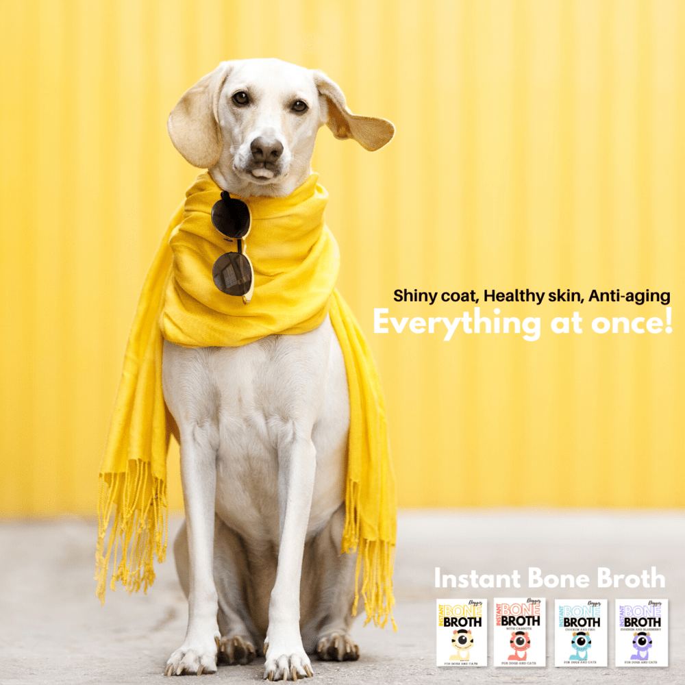 Doggos Instant Chicken and Carrots Bone Broth Gut and Vision Formula (Makes 100ml) for Cats and Dogs Dog Treats + Others Doggos