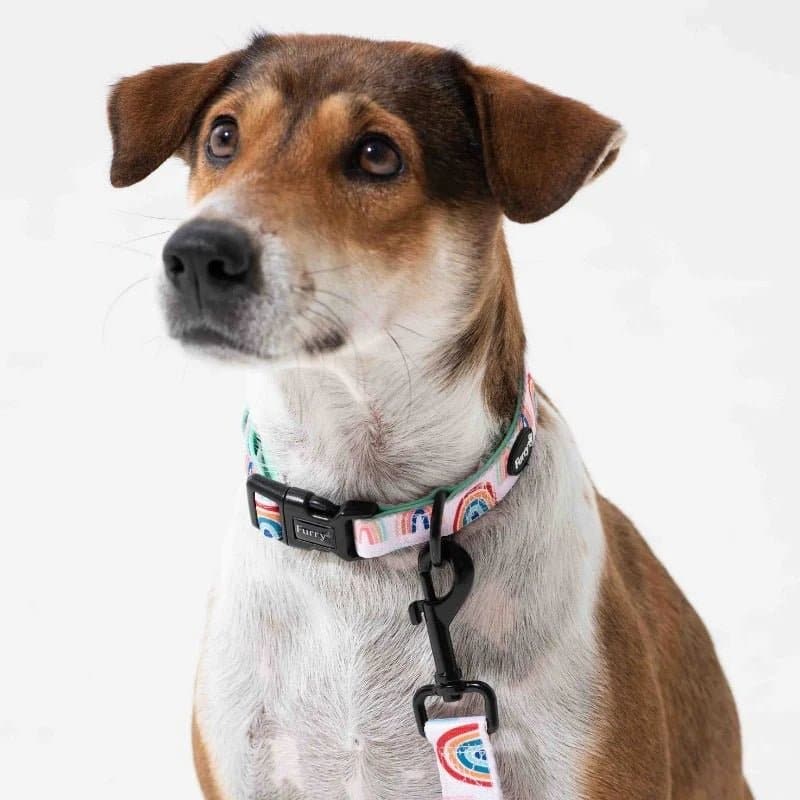 Furry & Co Raining Rainbow Comfort Collar for Dogs