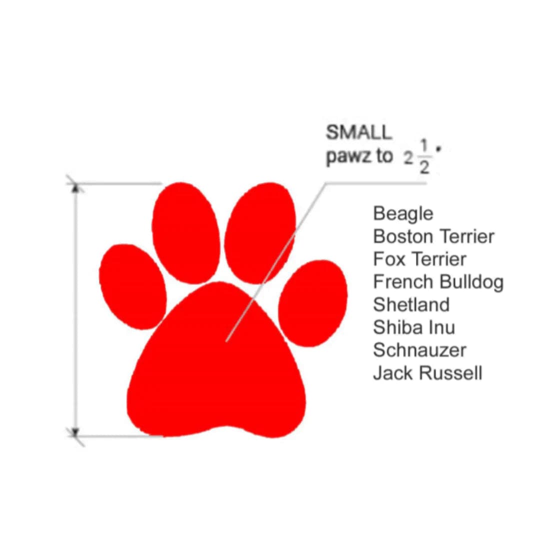 Protex PawZ Disposable and Reusable Boots for Dogs (Black) Dogs-Clothing & Accessories PawZ