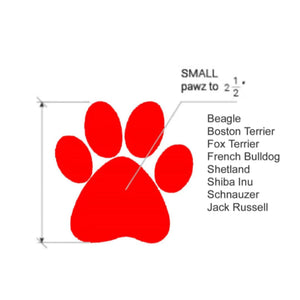 Protex PawZ Boots for Dogs (Orange)