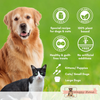 Waggy Zone Mango Ice Cream for Pets