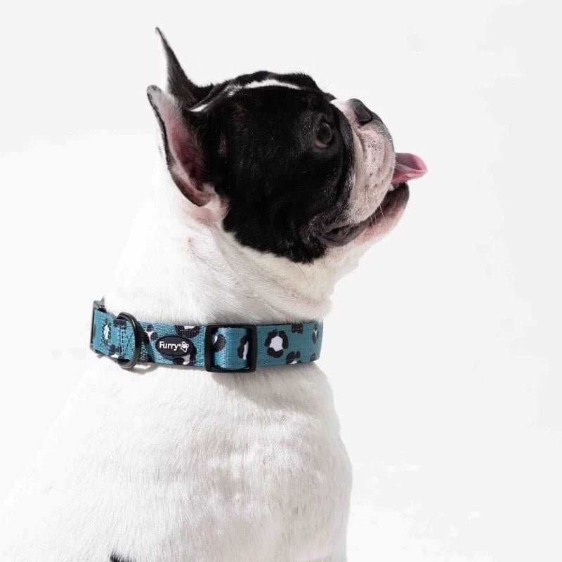 Furry & Co Wild One Comfort Collar for Dogs
