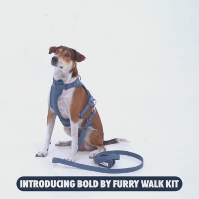 Furry & Co Bold Harness for Dogs (Coral Red) Dogs-Collar, Leashes, harnesses Furry & Co