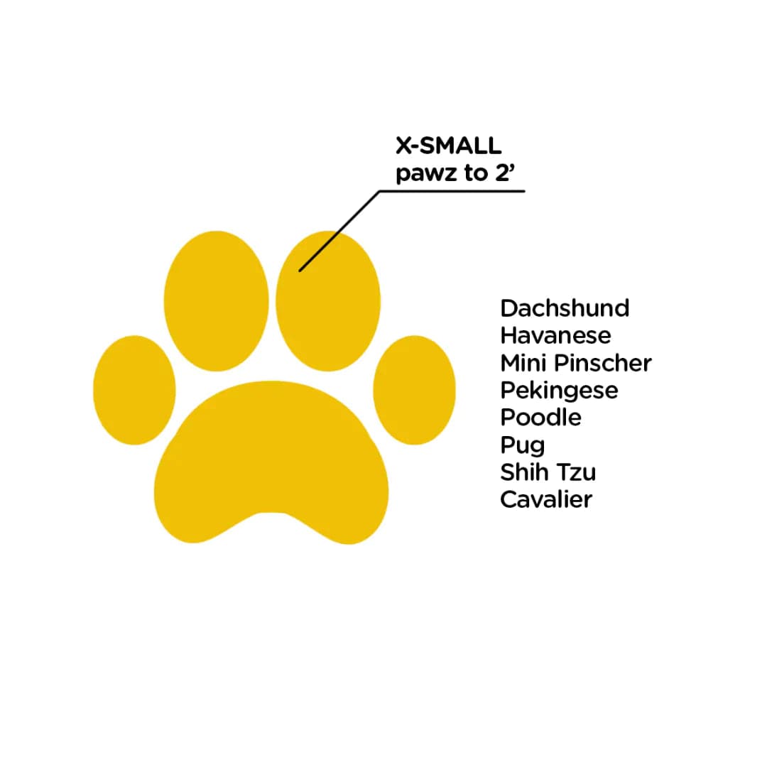 Protex PawZ Disposable and Reusable Boots for Dogs (Black) Dogs-Clothing & Accessories PawZ