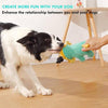 Pawsindia King the Cub Toy for Dogs Dogs-Toys Pawsindia