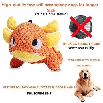 Pawsindia Drogo the Turtle Toy for Dogs