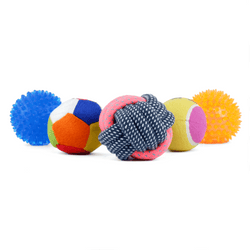 Kiki N Pooch Puppy Ball 5 in 1 Combo Rattle Ball for Dogs and Cats