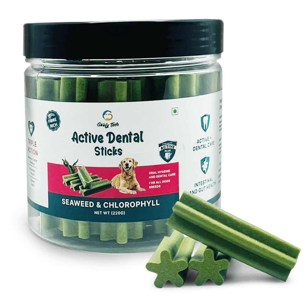 Goofy Tails Seaweed Active Dental Twists Dog Treats