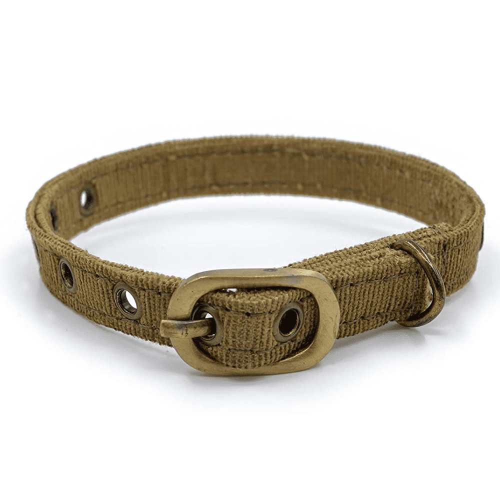 PetWale Collar for Cats (Bronze)