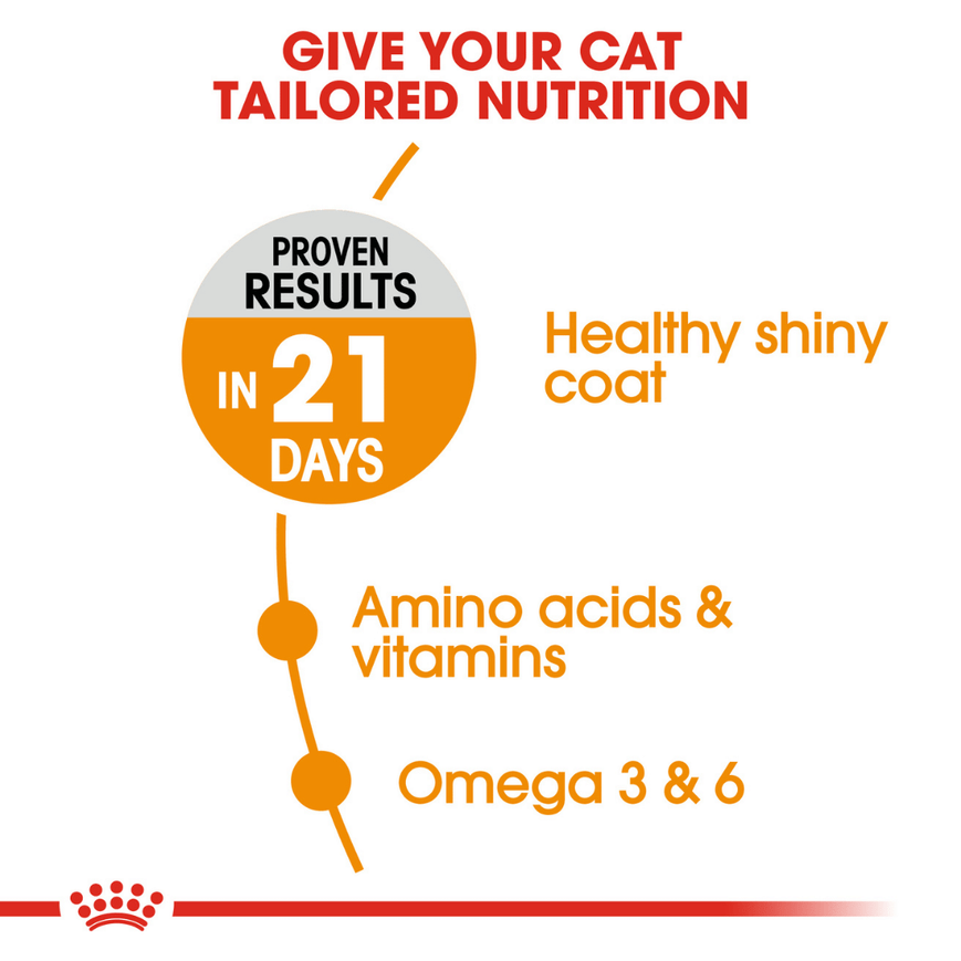 Royal Canin Hair & Skin, Hairball and Urinary Care Adult Cat Dry Food Combo Cats- Dry food Royal Canin