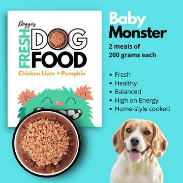 Doggos Baby Monster Chicken and Pumpkin Fresh Dog Wet Food (All Breeds)