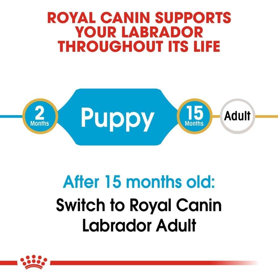 Royal Canin Labrador Retriever Puppy Dog Dry Food