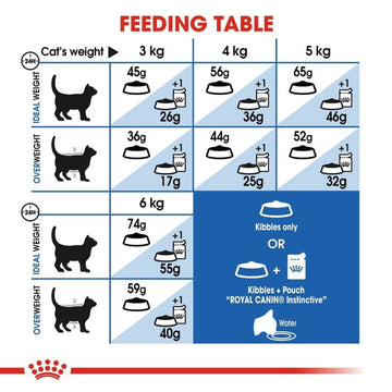 Royal Canin Indoor Adult Cat Dry Food