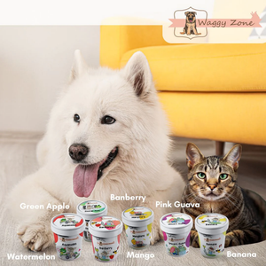 Waggy Zone Banberry Ice Cream for Pets