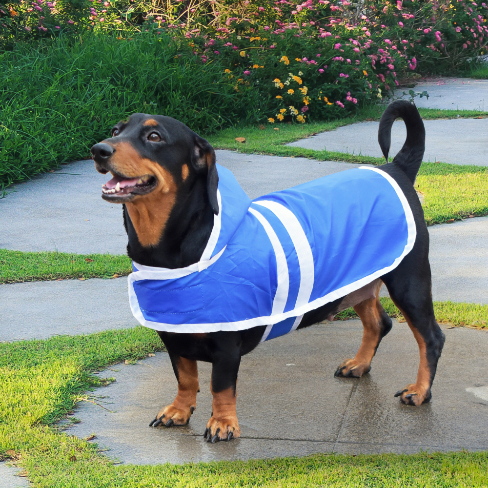 Pet Set Go Raincoat for Dogs (Blue)