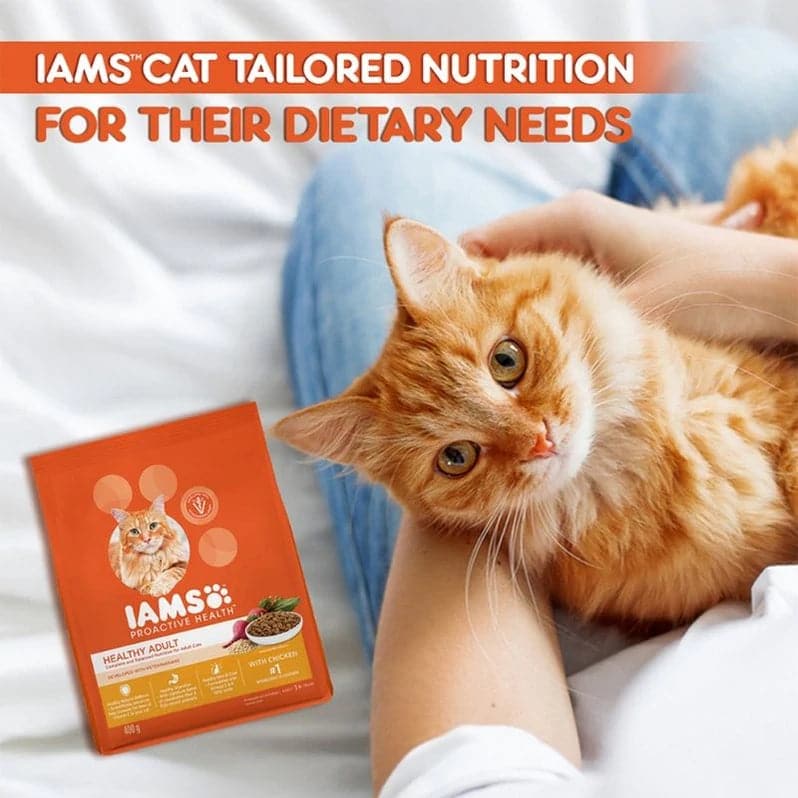 IAMS Proactive Health Chicken Premium Adult Cat Dry Food