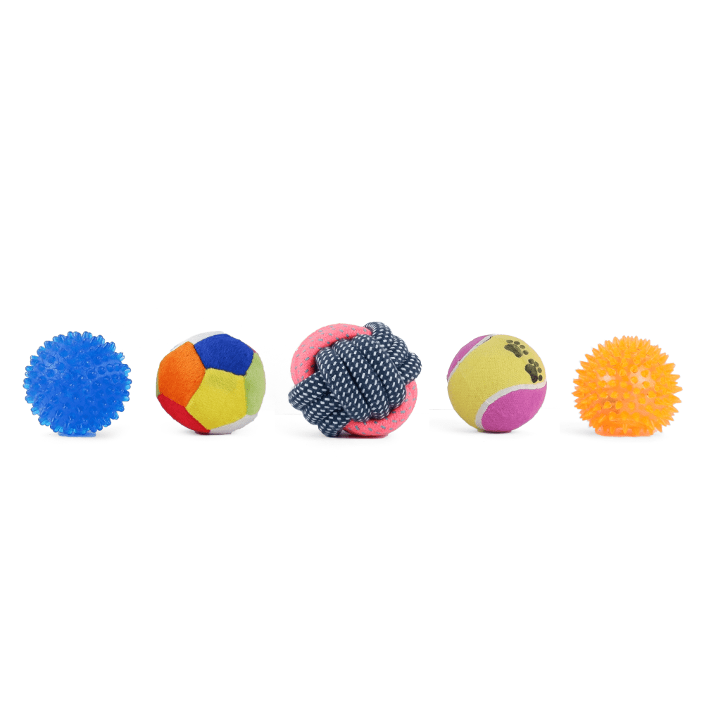 Kiki N Pooch Puppy Ball 5 in 1 Combo Rattle Ball for Dogs and Cats