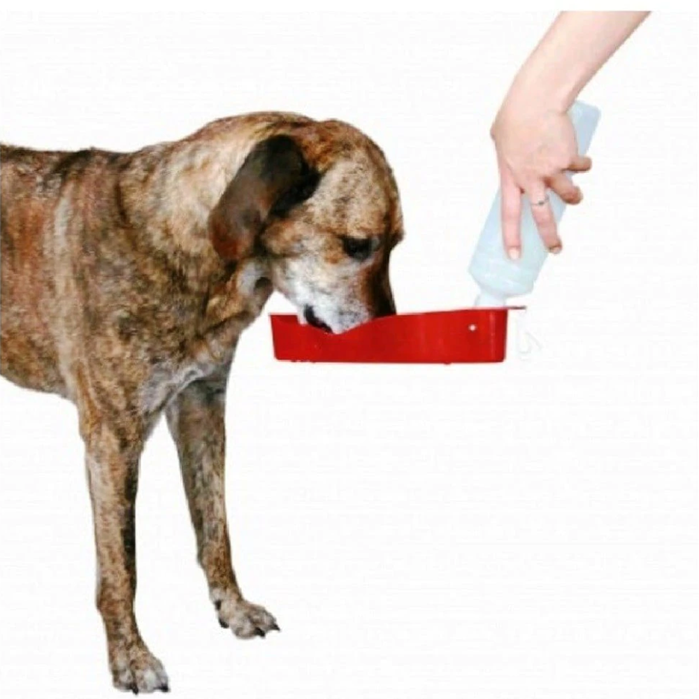 Trixie Travel Bottle with Bowl for Dogs and Cats (Red) Both-Bowls & Feeders Trixie