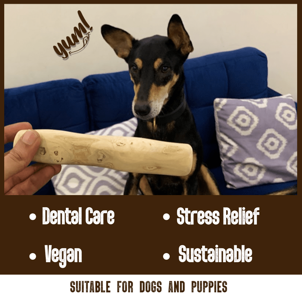 Goofy Tails Coffee Wood Chewing Stick Toy for Dogs | For Medium Chewers Dogs-Toys Goofy Tails