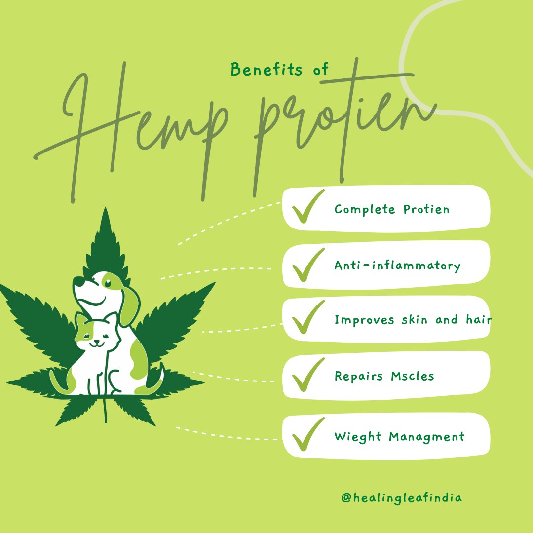 Healing Leaf Hemp Protein Powder and Bark Out Loud Immunity Multi Vitamin Chew Stix for Dogs and Cats Combo Exclusive Combo Exclusive Combo