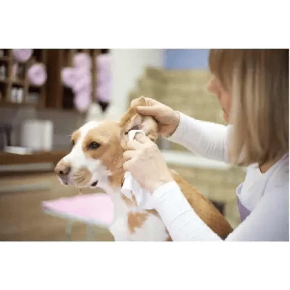 M Pets Ear Cleaner for Dogs