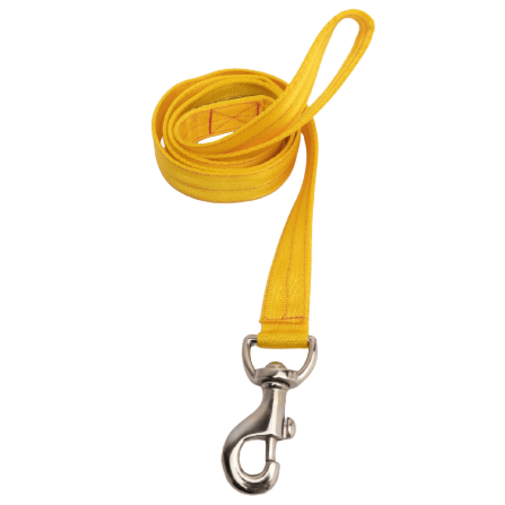 FurBuddies Yellow Nylon Collar & Leash Set
