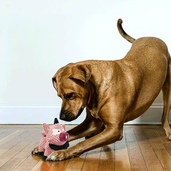 Pawsindia Peppa the Pig Toy for Dogs
