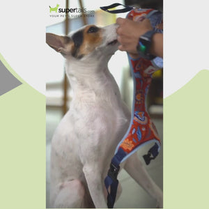 Pet And Parents Floral Cartoon Reversible Harness for Dogs
