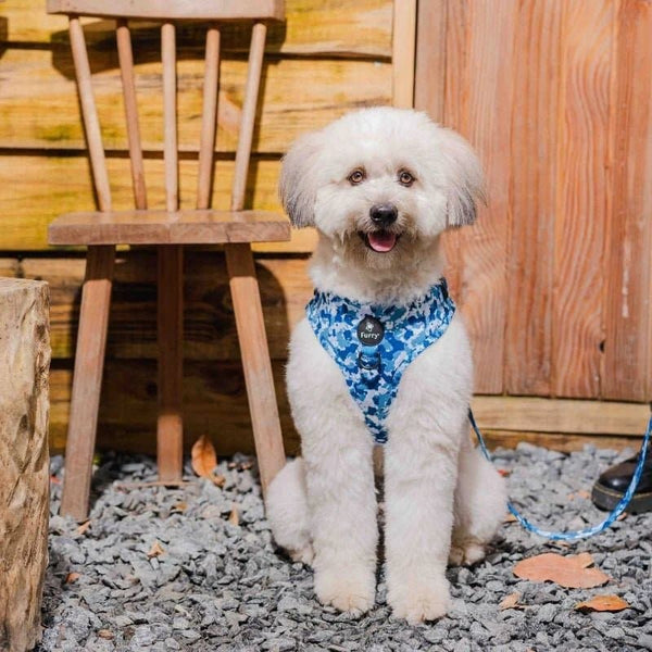 Furry & Co Cool Camo No Pull Harness for Dogs