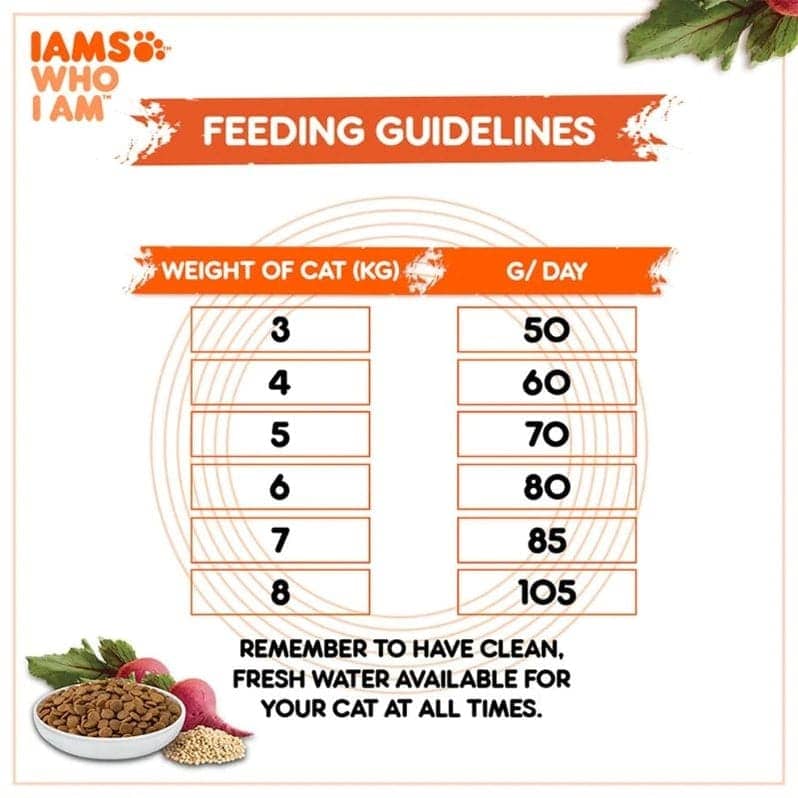 IAMS Proactive Health Chicken and Salmon Premium Adult Cat Dry Food