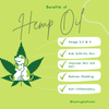 Healing Leaf Hemp Oil for Pets and Drools Absolute Salmon Oil Syrup Supplement for Dogs for Combo Dogs-Health & Wellness Exclusive Combo