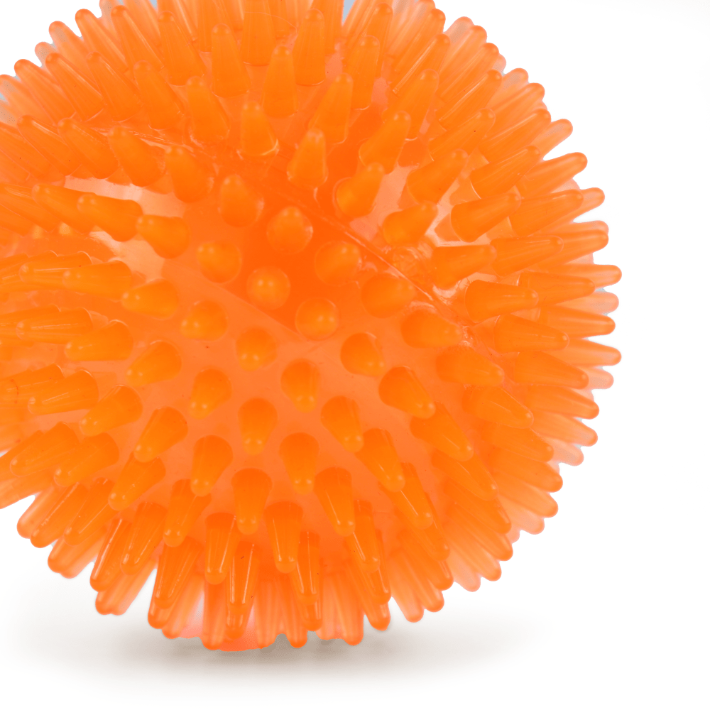 Basil Squeaky Rubber Ball Toy for Dogs (Orange)