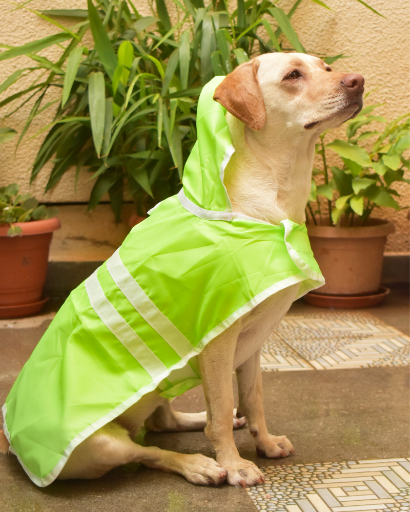 Pet Set Go Raincoat for Dogs (Green)