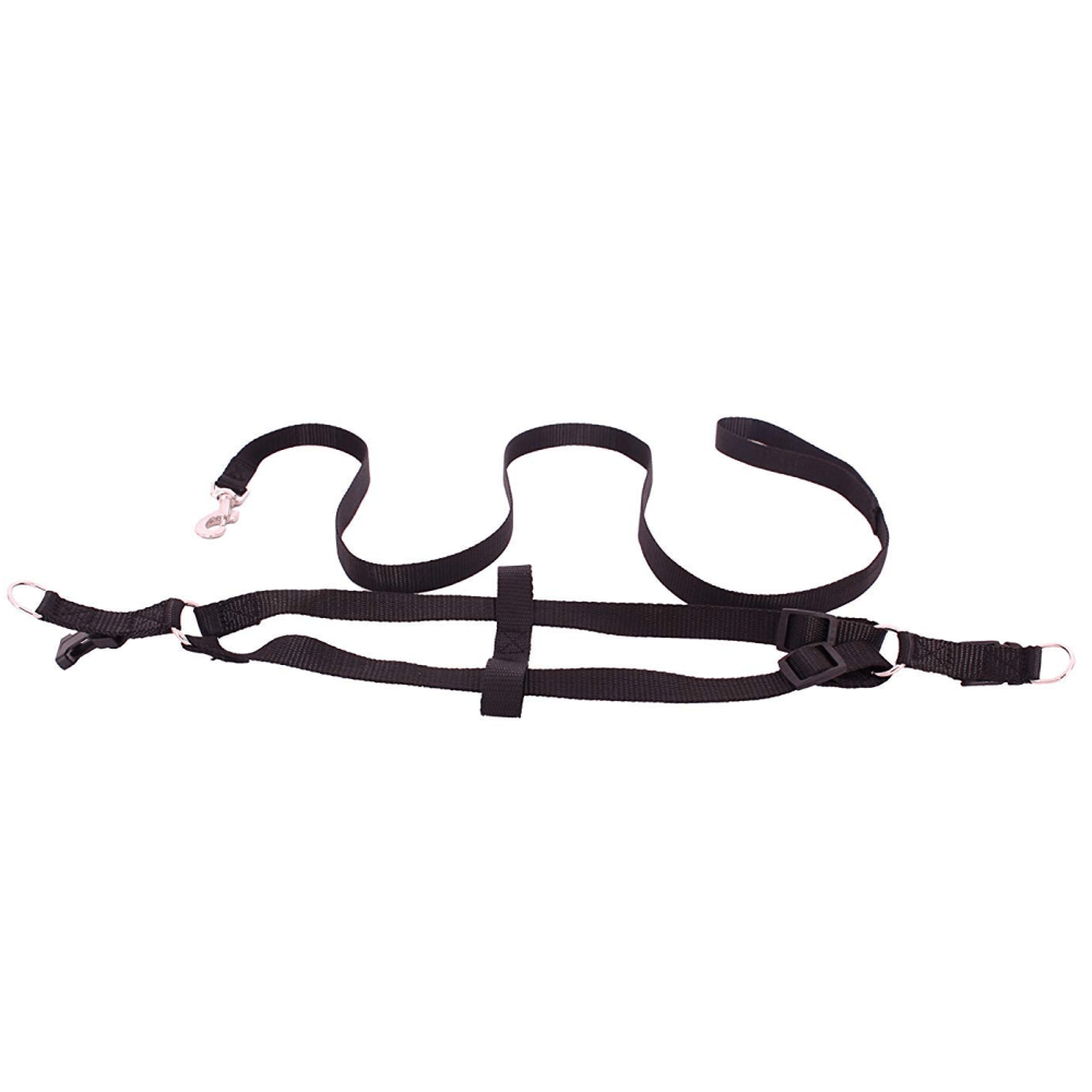 Emily Pets Leash And Harness Set for Dogs and Cats (Black)