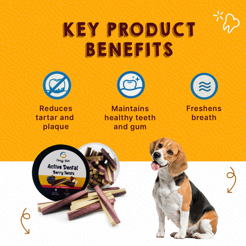 Goofy Tails Blueberry and Apple Active Dental Twists Dog Treats Dog Treats + Others Goofy Tails