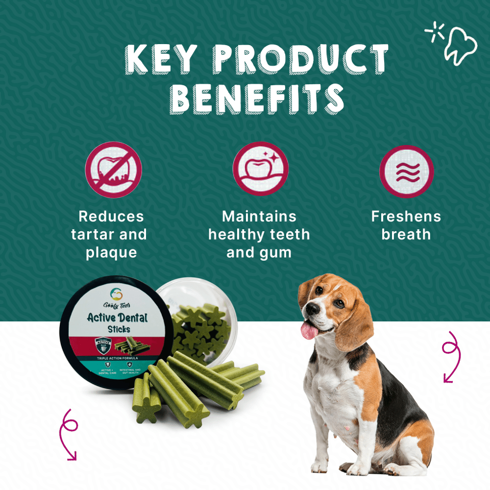 Goofy Tails Seaweed Active Dental Twists Dog Treats Dog Treats + Others Goofy Tails