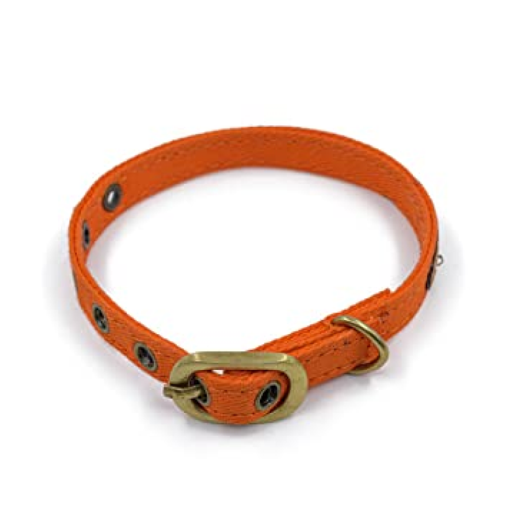 PetWale Collar for Cats (Orange)