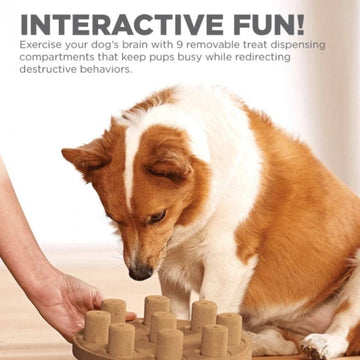 Outward Hound Nina Ottosson Smart Composite Game for Dogs (Orange, Level 1 Beginner)